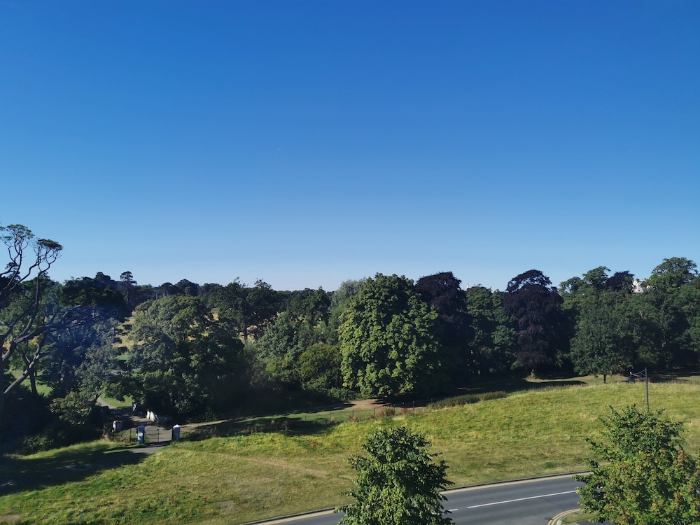 Suite, 1 Bedroom, Park View - Photo 5