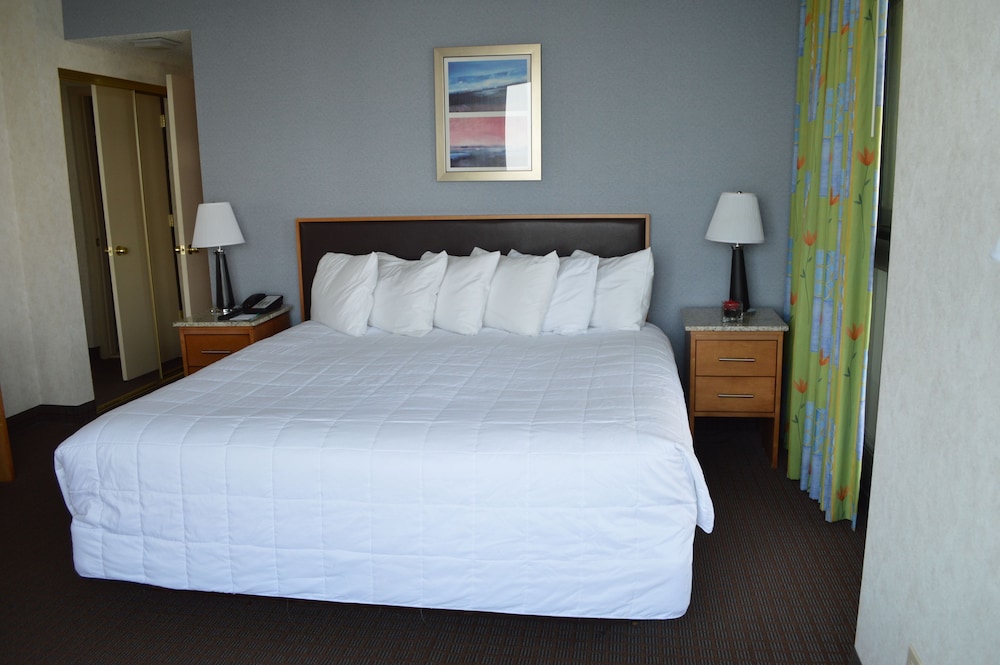 Suite, 1 Bedroom, Kitchenette photo 3
