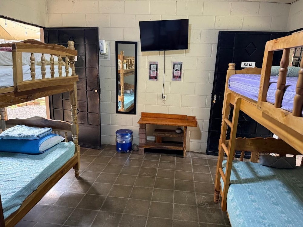 Basic Shared Dormitory photo 1