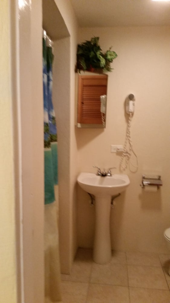 Swimming pool Superior with king bed and kitchenette photo 3