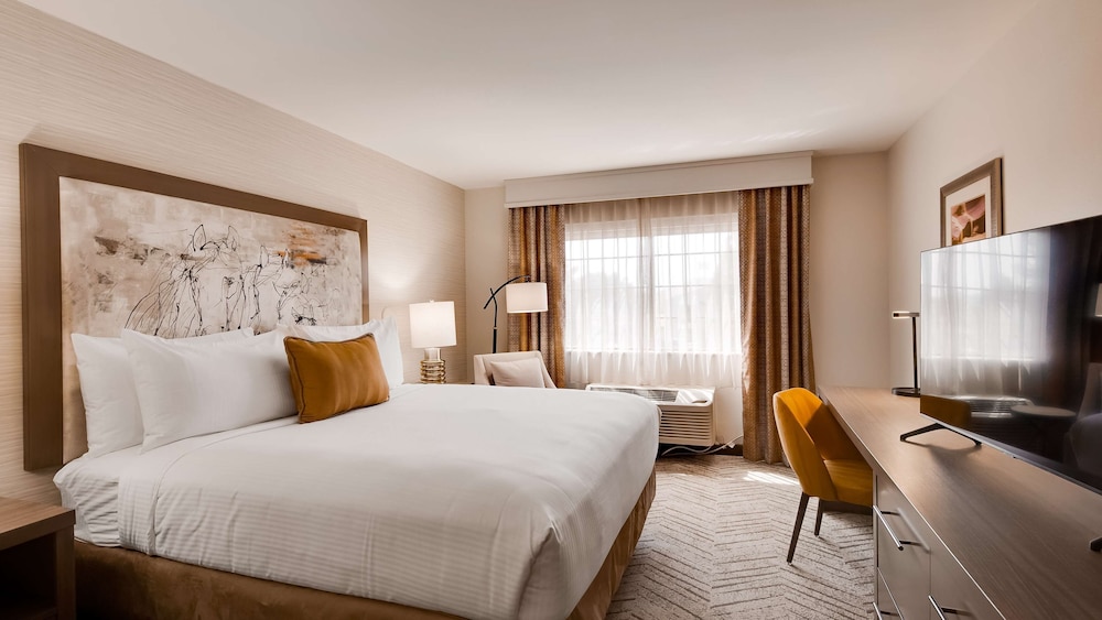 Standard Room, 1 King Bed, Accessible, Refrigerator & Microwave - Photo 4