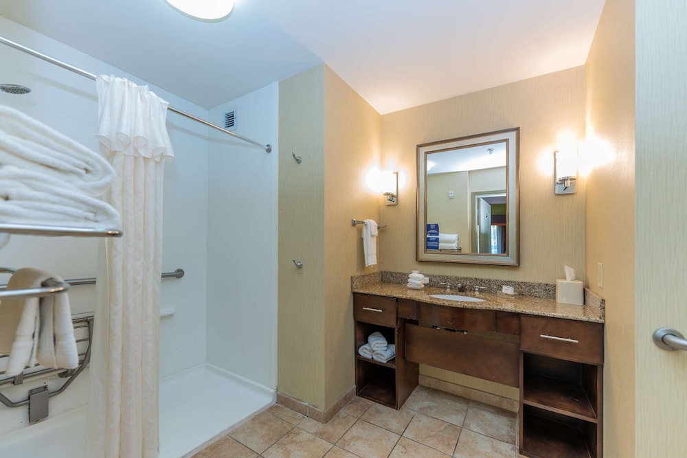 Studio, 1 King Bed, Accessible (Mobility & Hearing, Roll-in Shower) - Photo 4