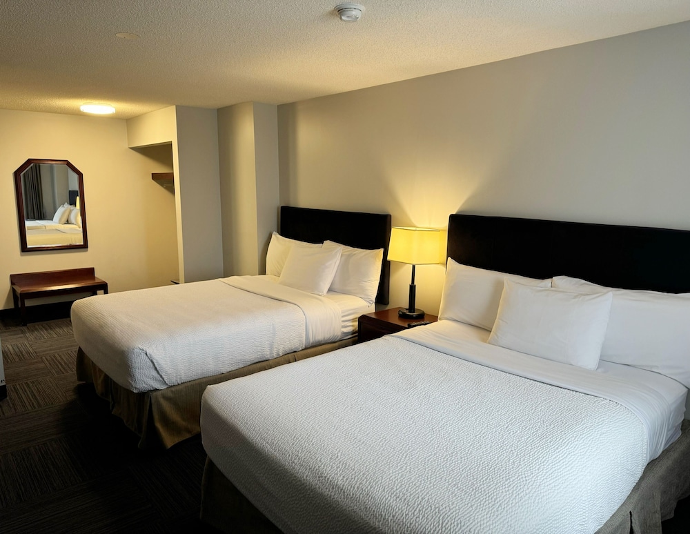 Family Suite - Photo 9
