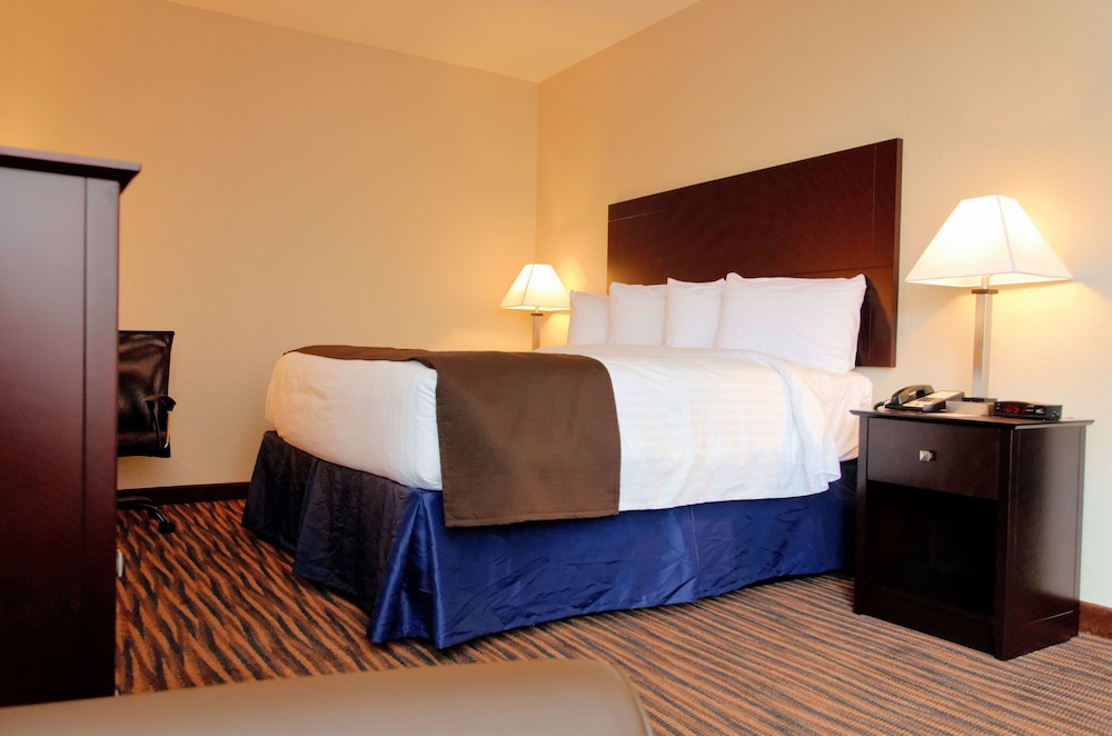 Room, 1 King Bed, Non Smoking photo 3