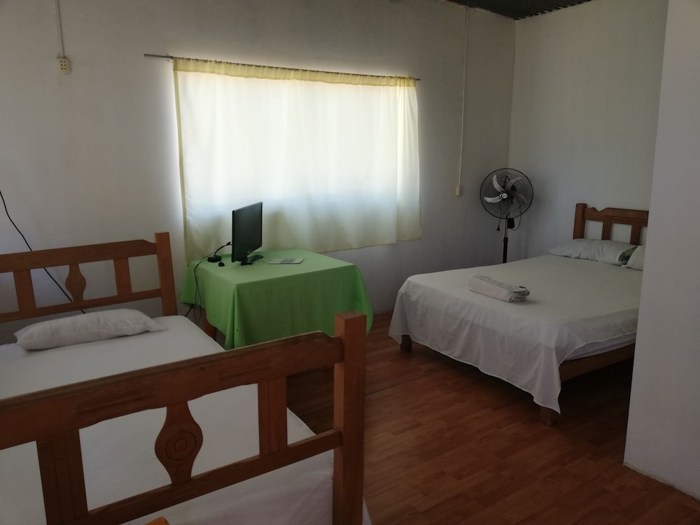 Triple Room photo 1