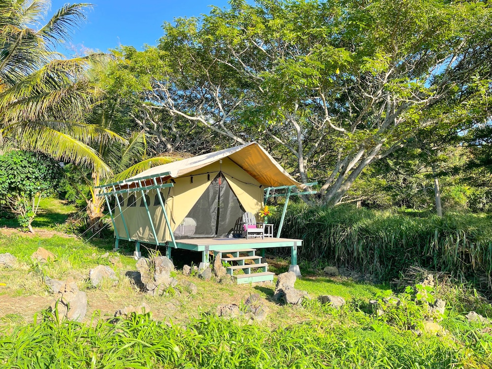 Monkeypod Canopy photo 1