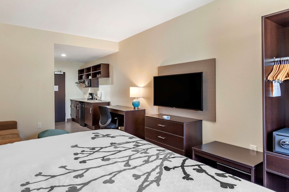 Suite, 1 King Bed with Sofa bed, Non Smoking (Efficiency) - Photo 3
