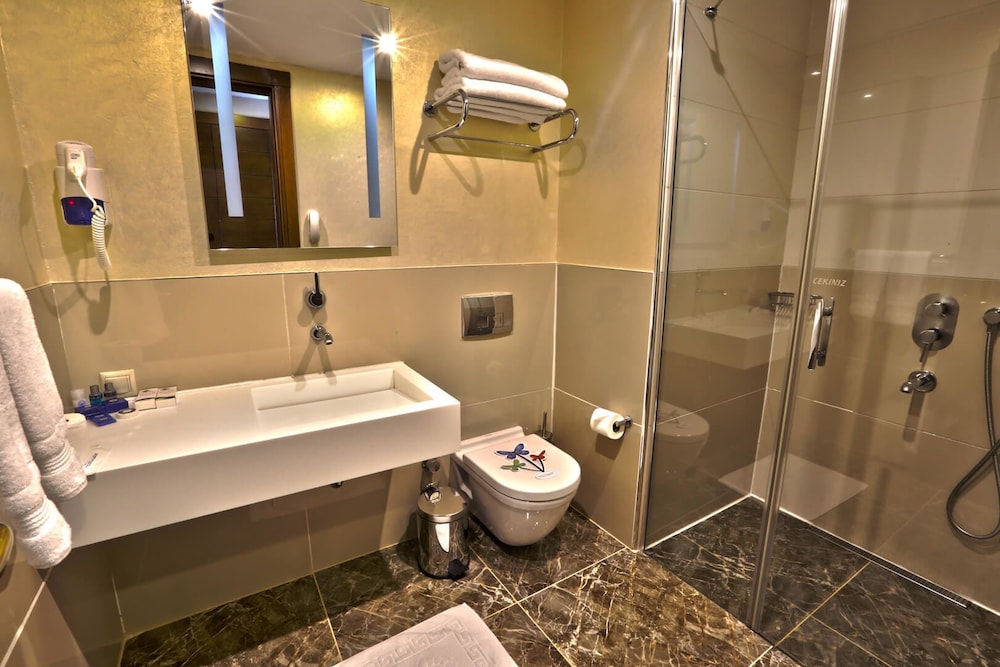 Standard Room, Mountain View photo 2