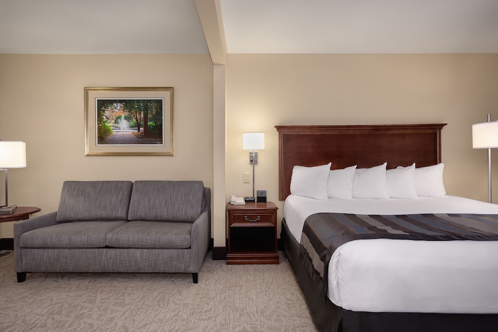 Standard Room, 1 King Bed With Sofa Bed photo 2