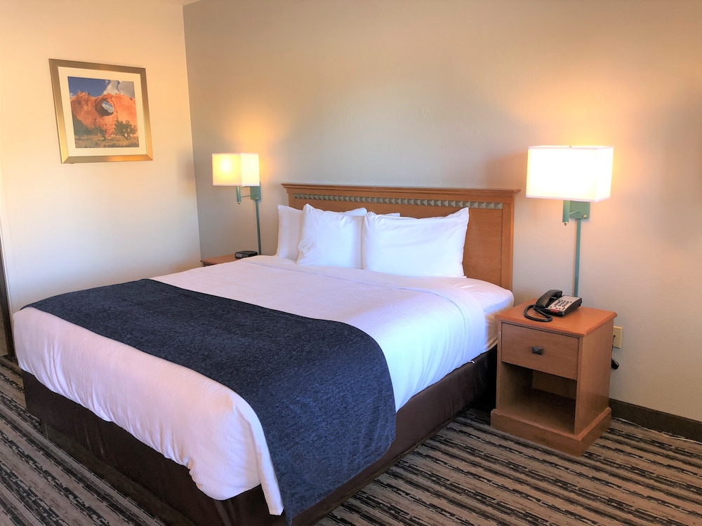 Single Room, 1 King Bed, Non Smoking photo 1