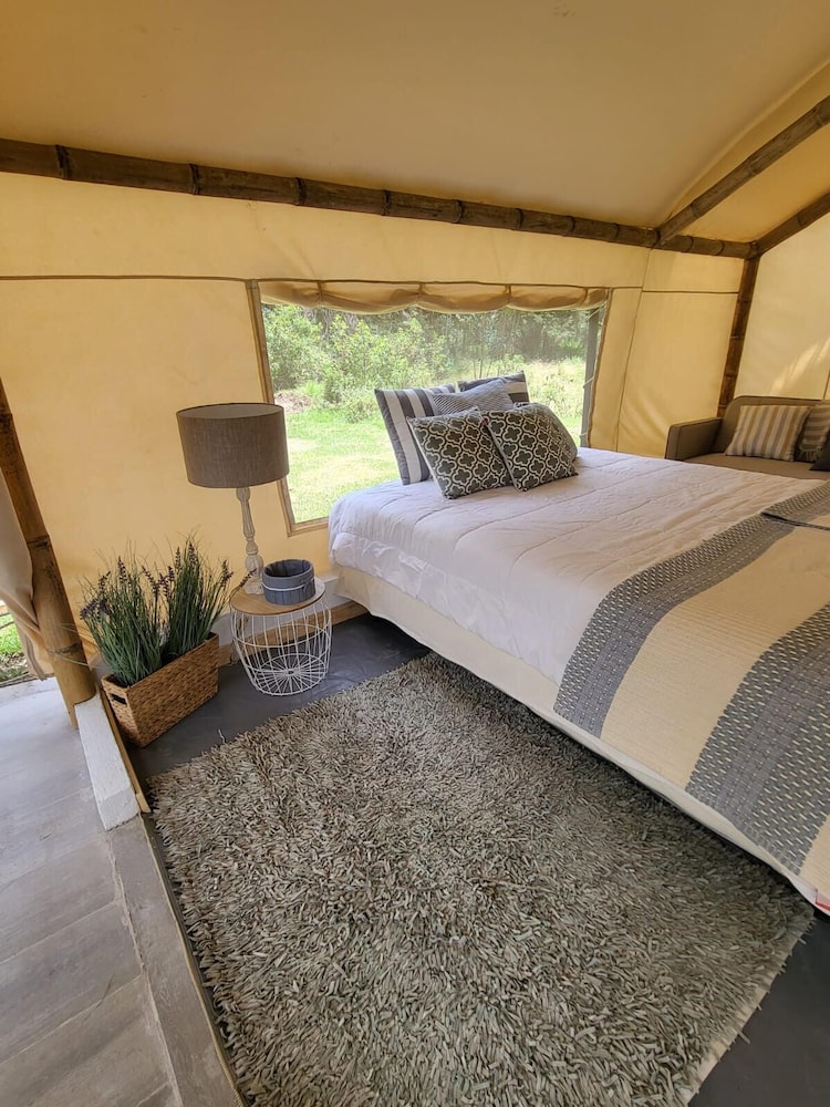 Glamping Eucalipto photo 1