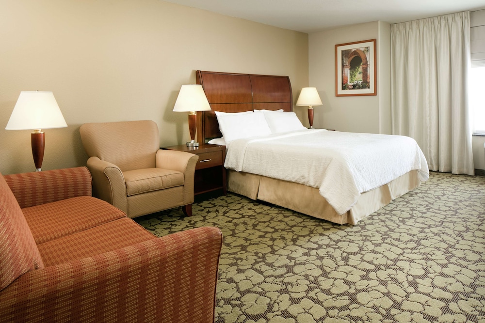 1 King Bed Suite with Sofabed - Photo 1