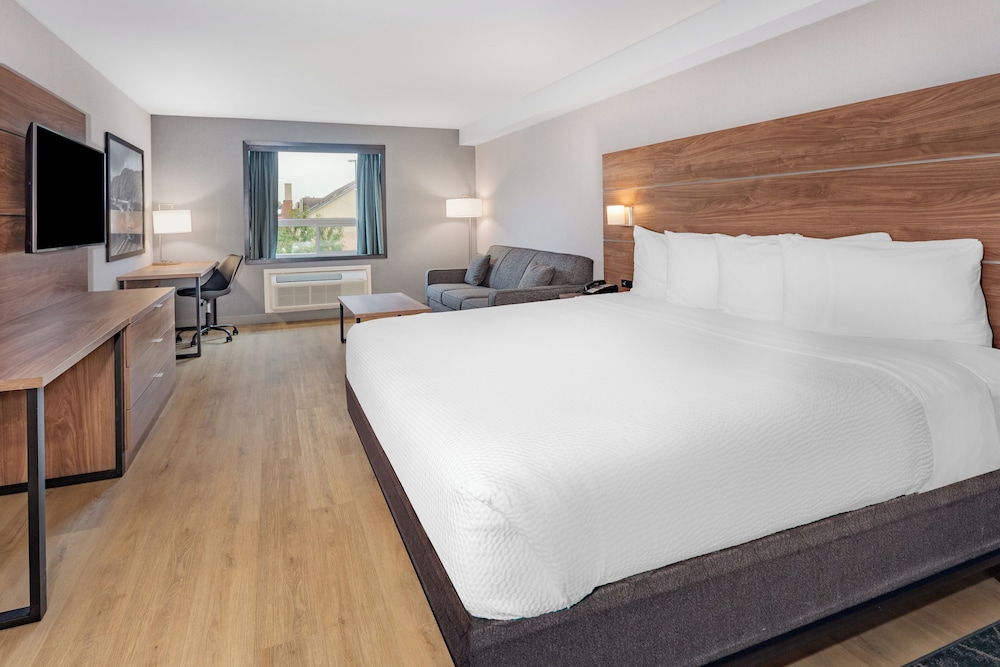 Deluxe Studio Suite, 1 King Bed, Non Smoking - Photo 1