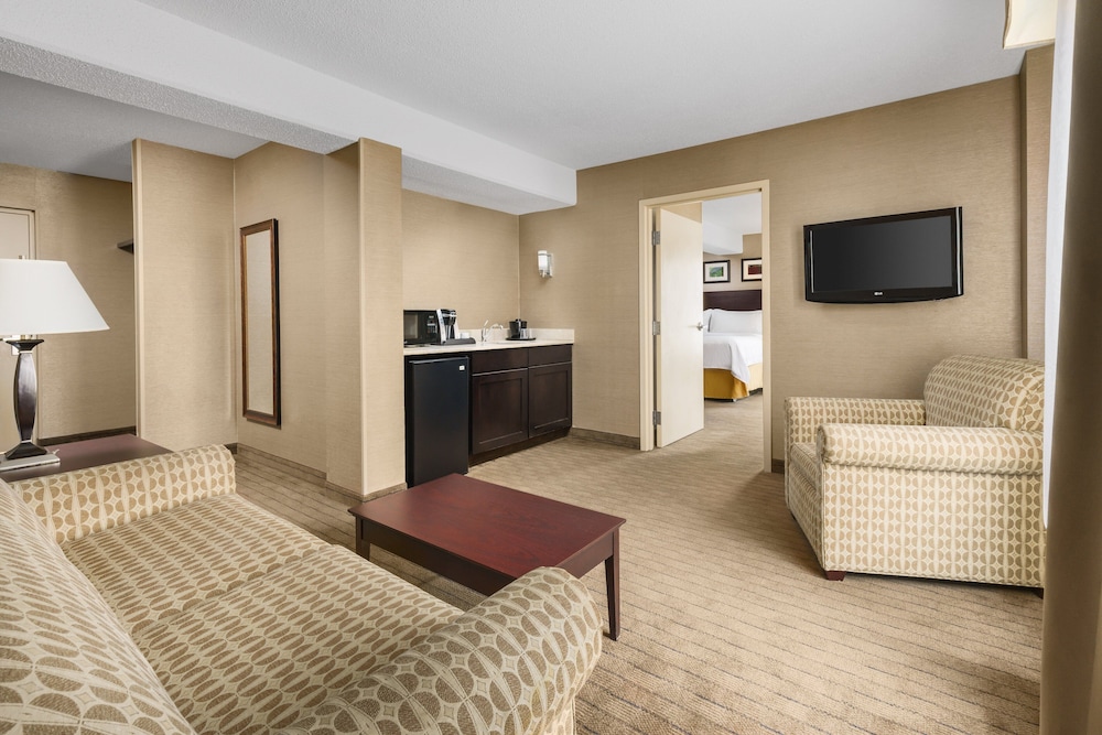 Suite, 1 King Bed (Additional Living Area) photo 3