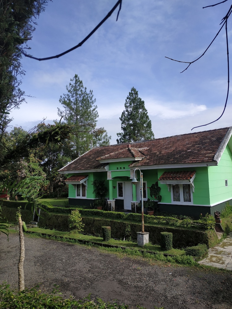 Standard Villa, 3 Bedrooms photo 3