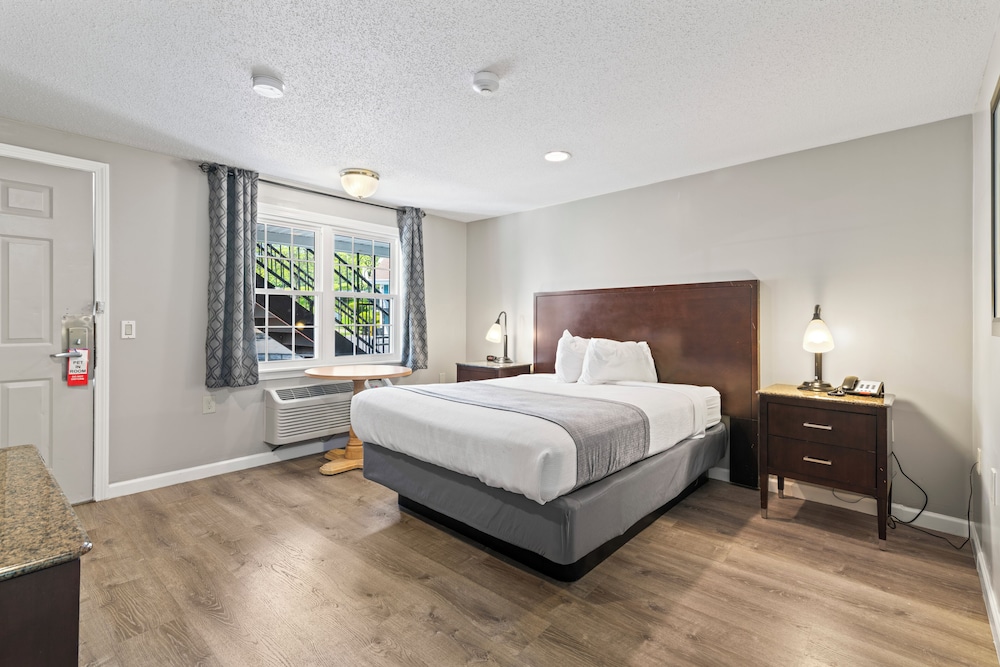 Basic Room, 1 Queen Bed, Accessible photo 3