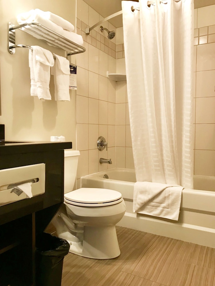 Suite, 1 Queen Bed, Non Smoking, Refrigerator & Microwave - Photo 6