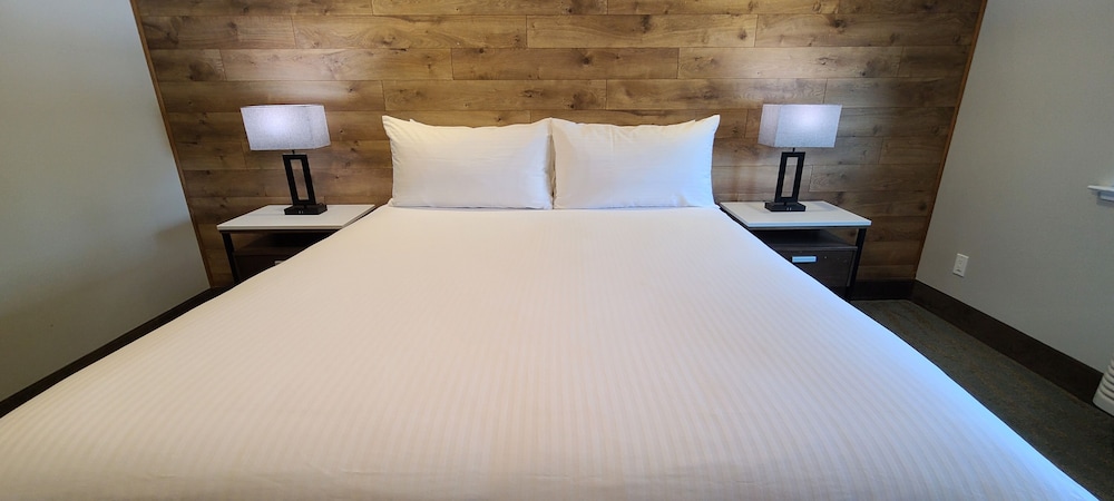 Standard Room, 1 King Bed, Non Smoking - Photo 5
