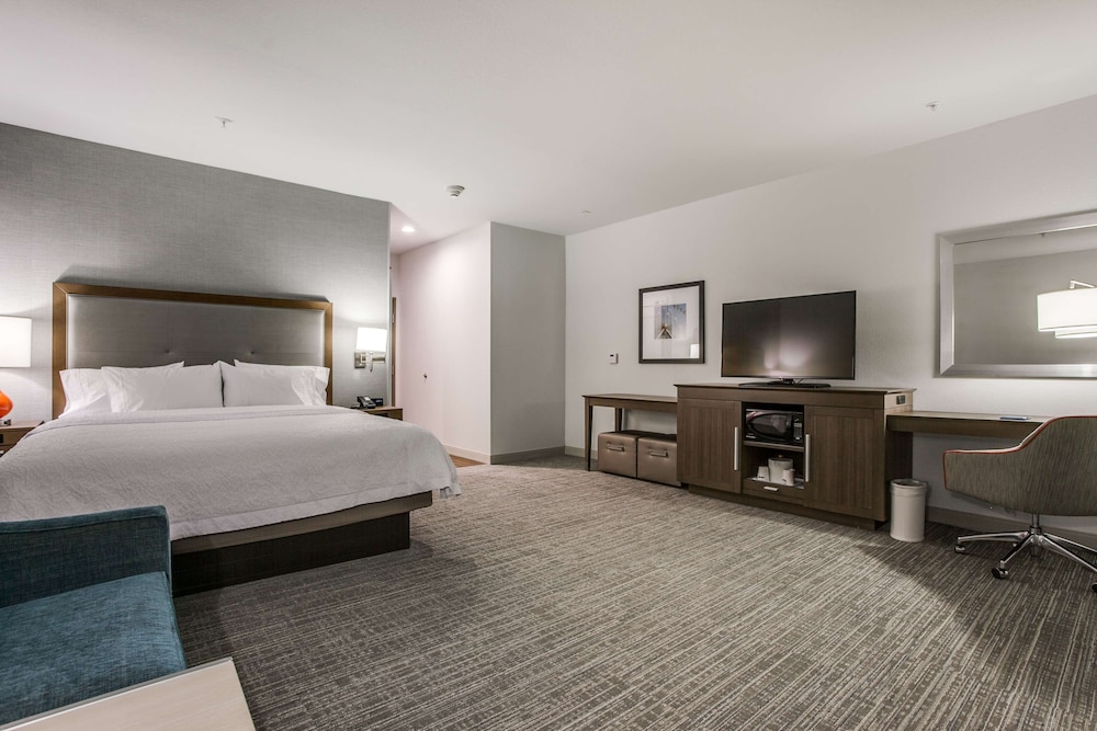 Room, 1 King Bed, Accessible, Bathtub (Mobility & Hearing) photo 1
