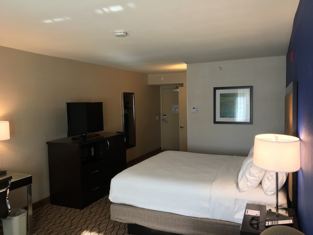 Standard Room, 1 King Bed, Accessible (Roll-In Shower) - Photo 2