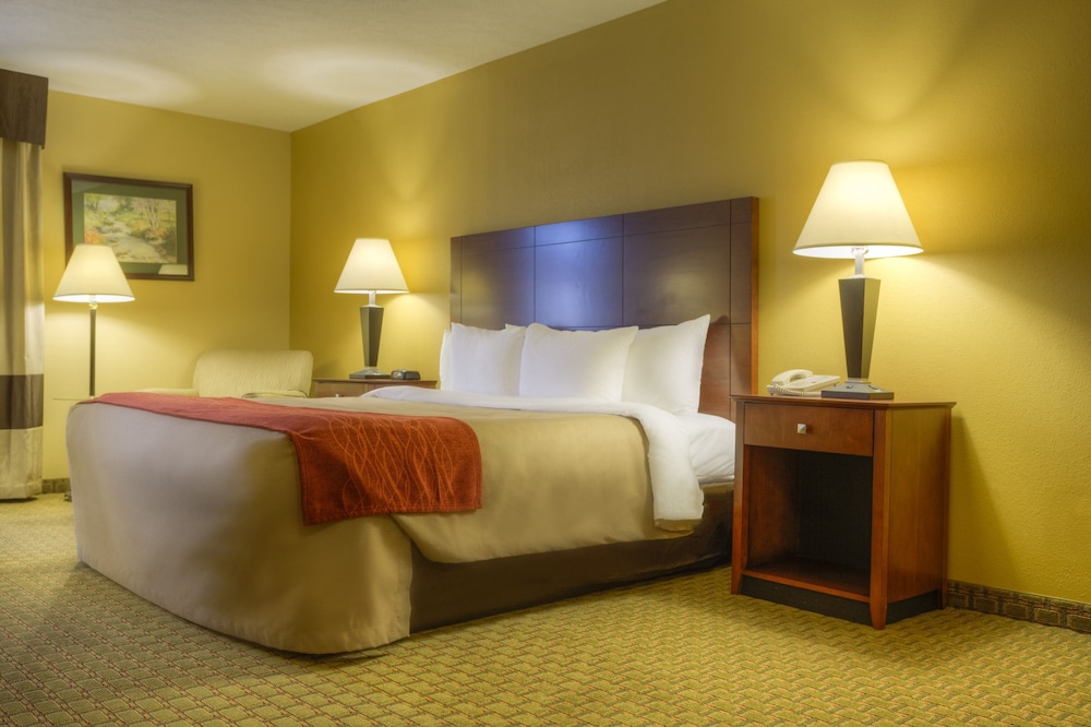 Room, 1 King Bed, Non Smoking - Photo 3