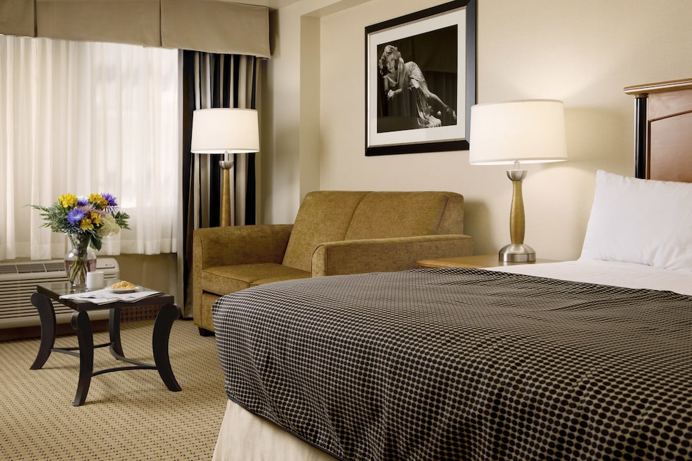 Deluxe Room, 1 King Bed, Non Smoking - Photo 3