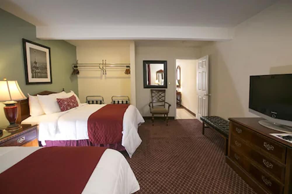 Suite, 1 Bedroom - Photo 4