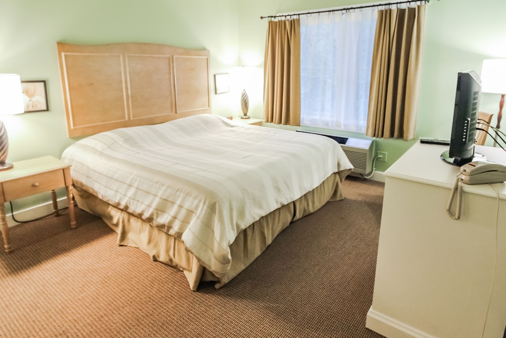 Suite, 1 Bedroom photo 1