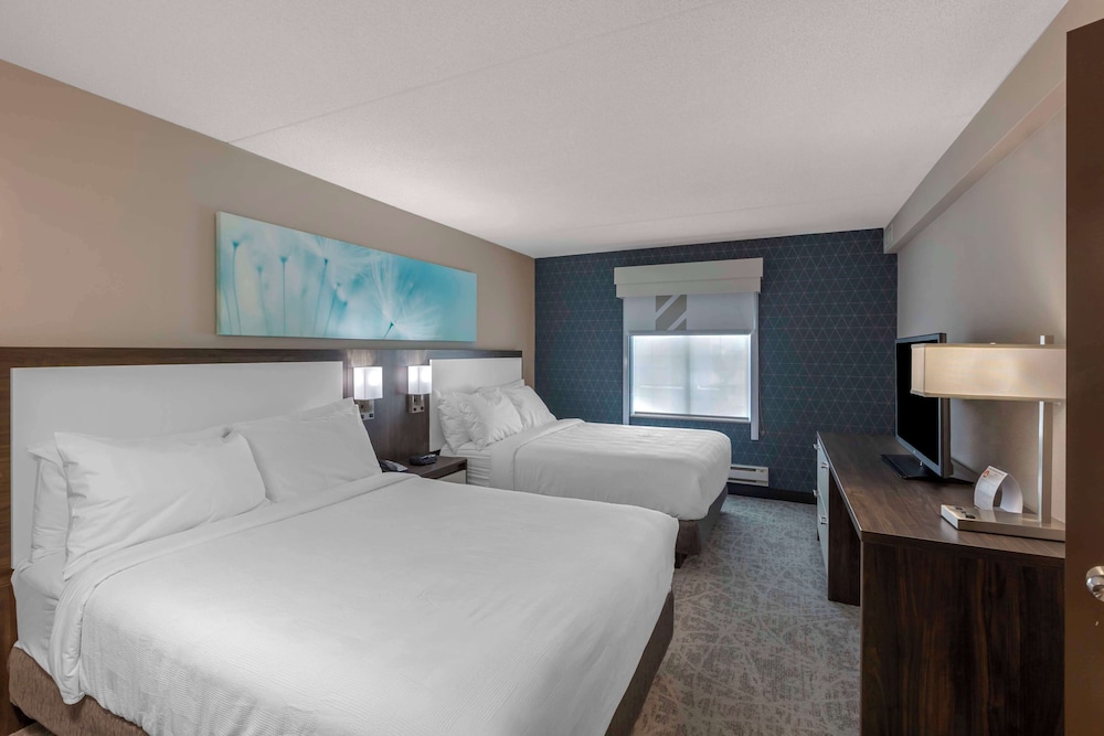 Suite, Multiple Beds, Non Smoking, Kitchen (Shower Only;with Sofabed) thumbnail 6