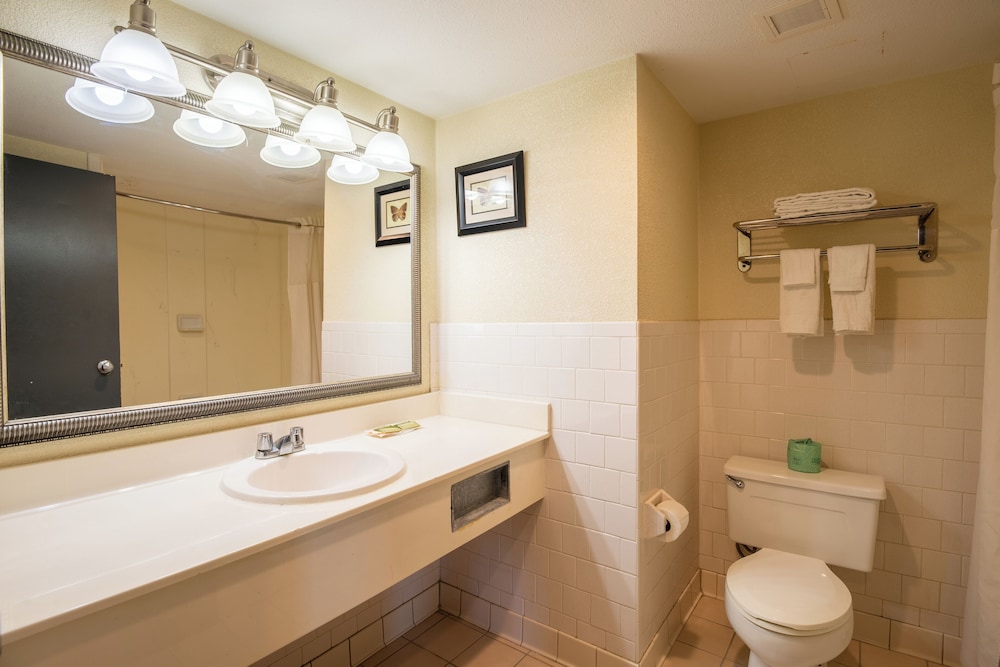 Deluxe Double Room - Photo 6