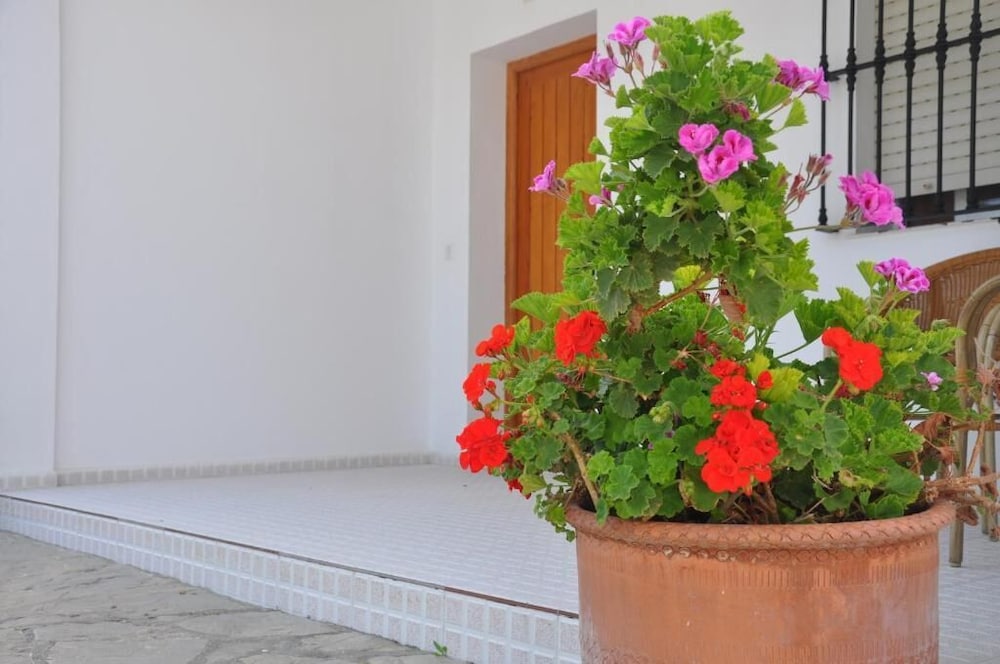 Triple Room, 3 Twin Beds, Terrace photo 3
