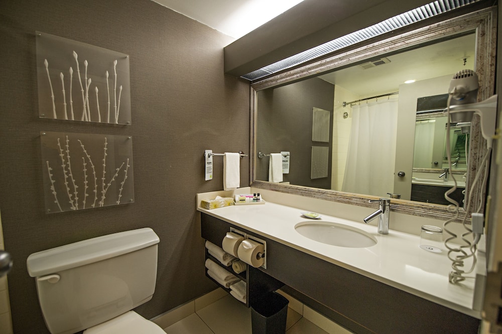 Family Suite, Multiple Beds (1 Bedroom Double) thumbnail 6