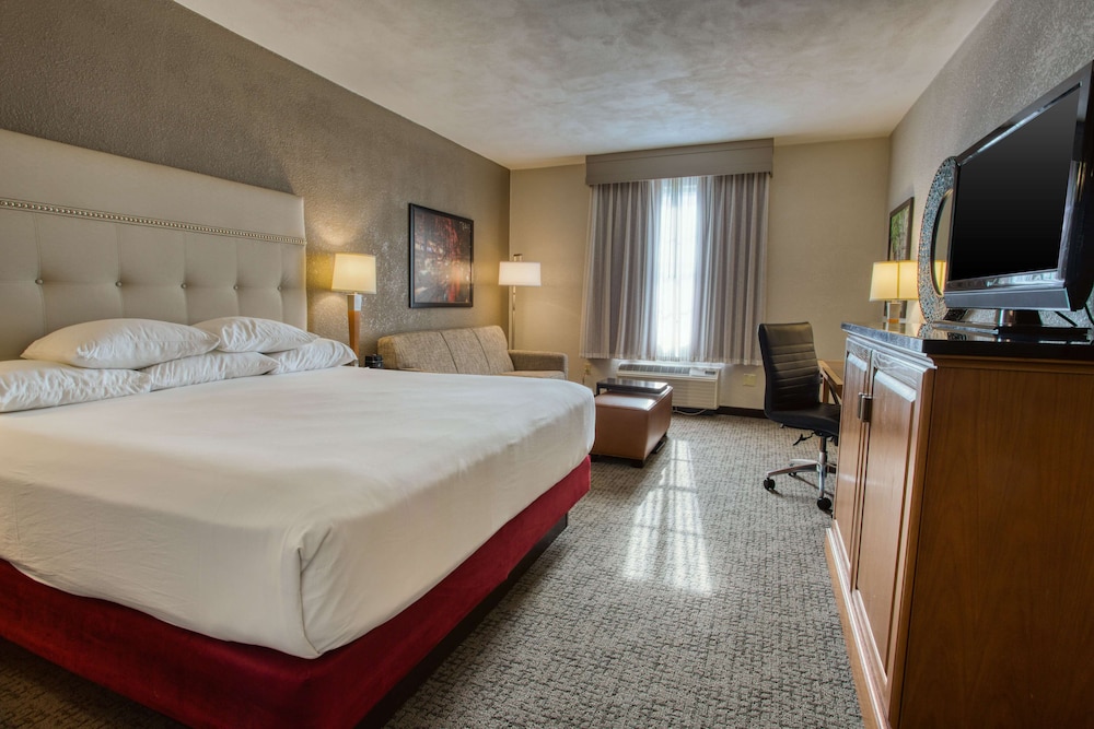 Deluxe Room, 1 King Bed with Sofa bed, Refrigerator & Microwave photo 1