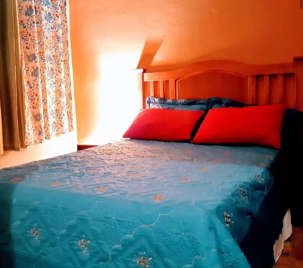 Basic Apartment