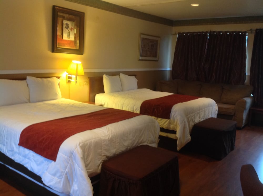 Standard Suite photo 1