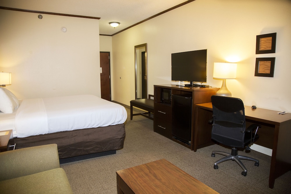 Suite, 1 King Bed with Sofa bed, Non Smoking photo 2