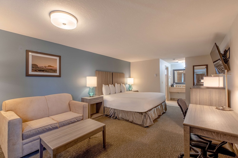 Standard Room, 1 King Bed, Accessible, Non Smoking photo 3