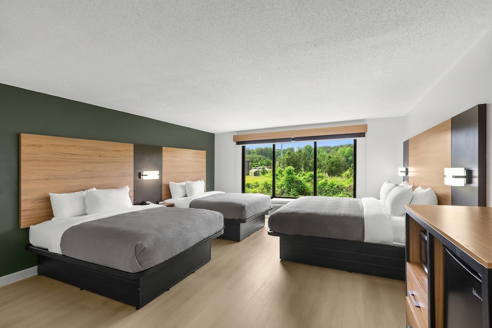 Standard Room, Multiple Beds, Non Smoking - Photo 3