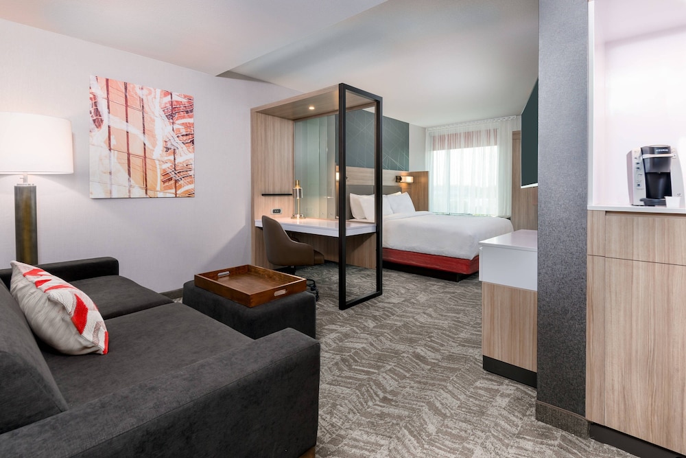 Suite, 1 King Bed - Photo 1