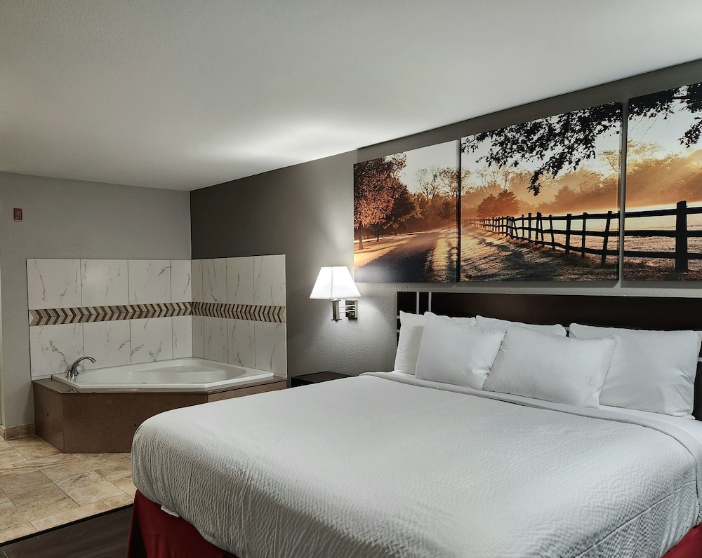 Studio Suite, 1 King Bed, Non Smoking photo 1