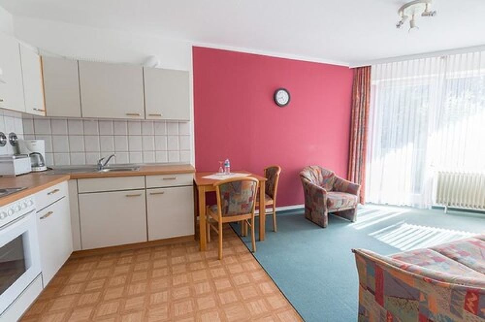 Apartment, 1 Bedroom, Kitchen photo 3