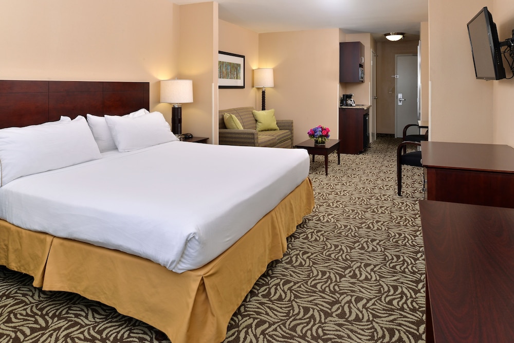 Suite, 1 King Bed (Extra Floor Space) - Photo 8