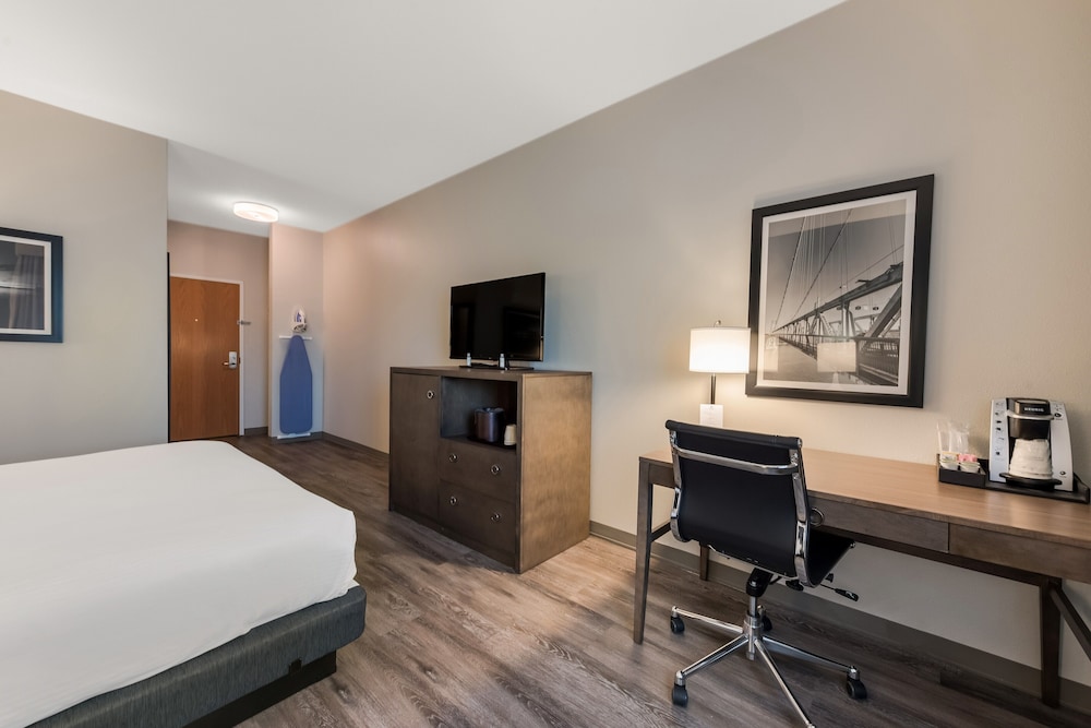 Standard Room, 1 King Bed, Non Smoking, Refrigerator (with Sofabed) - Photo 4