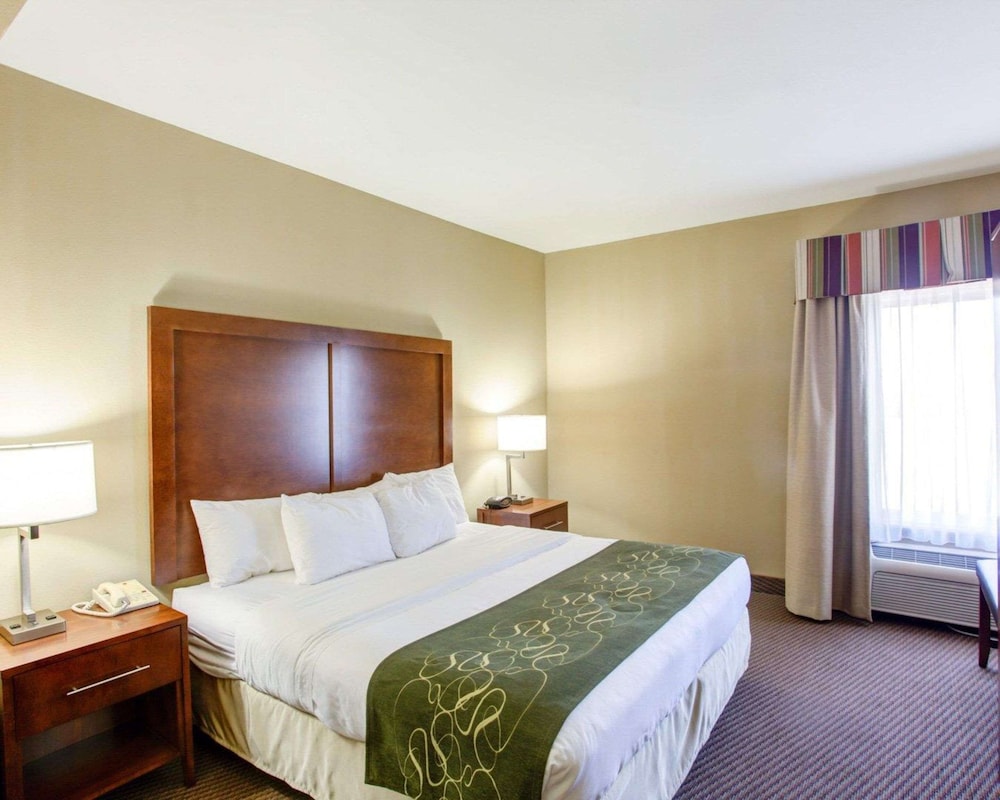 Suite, 1 King Bed with Sofa bed, Non Smoking - Photo 1
