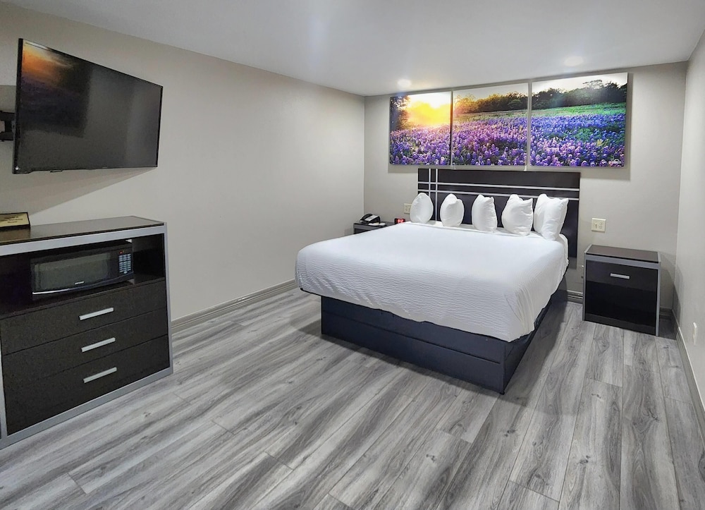 Suite, 1 King Bed, Smoking (One-Bedroom) photo 1