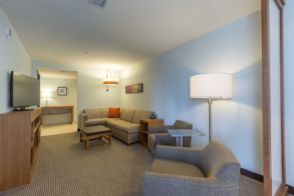 Suite, 1 King Bed, Mountain View (2 Rooms) photo 3