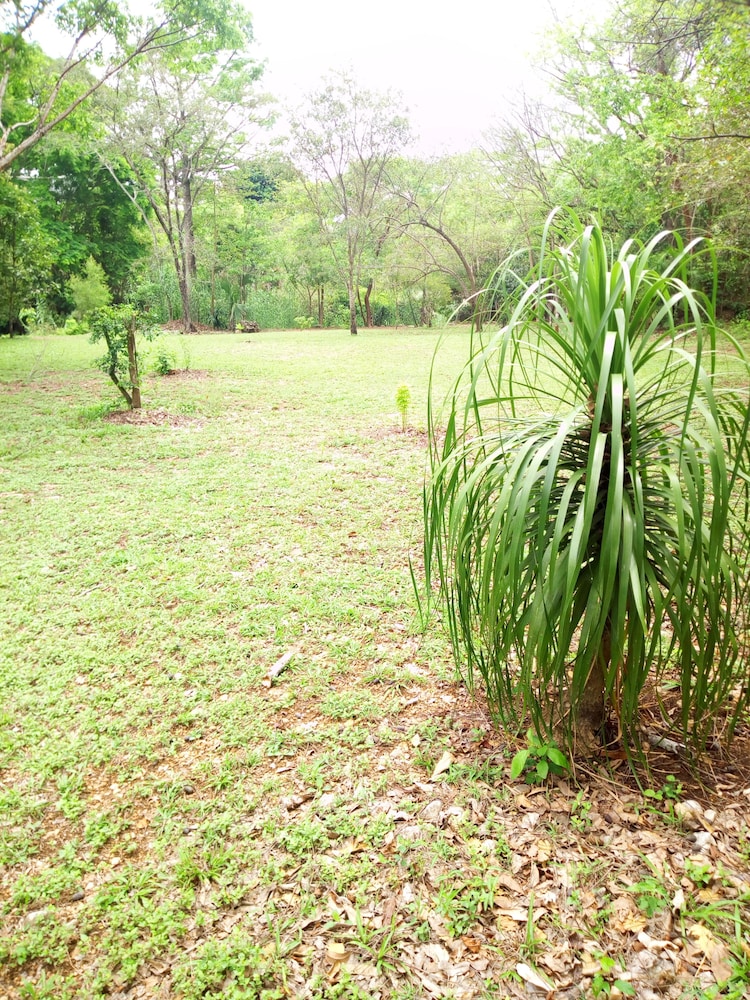 Room, 1 Bedroom, Patio, Garden View photo 3