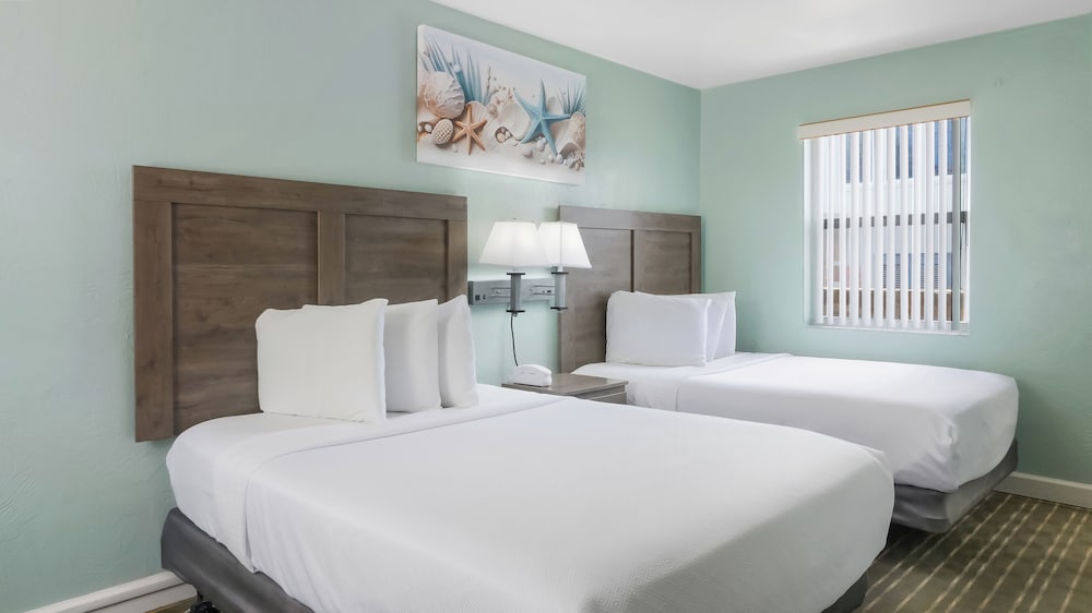 Basic Double Room