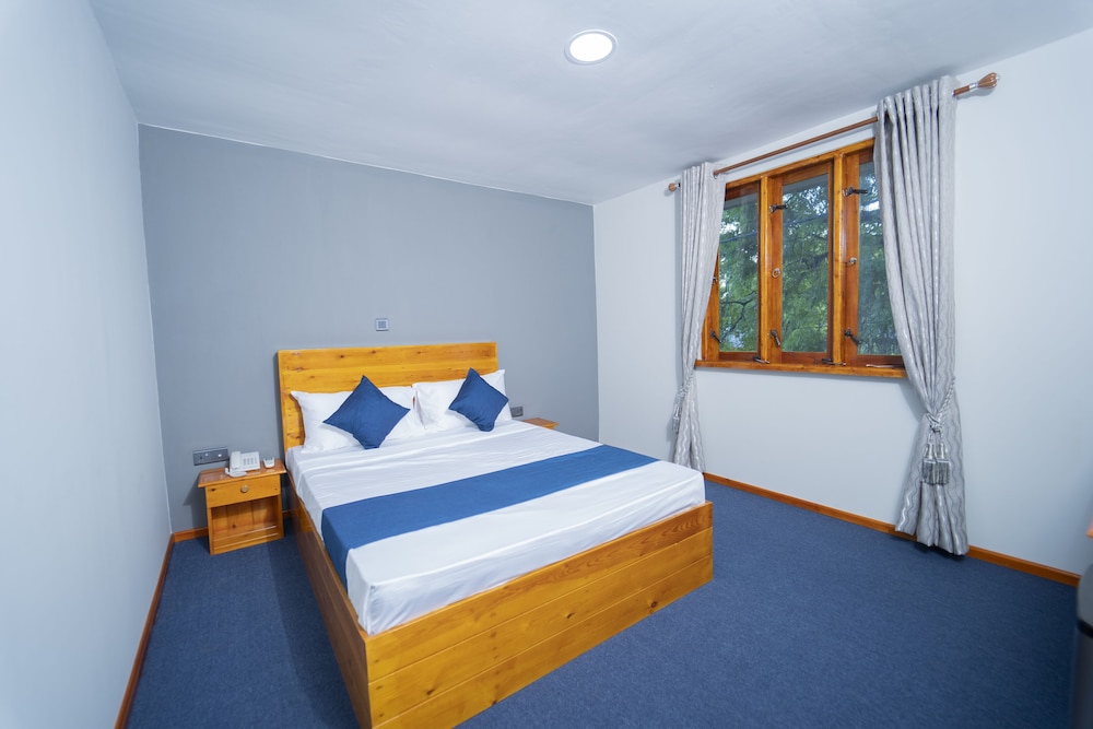 Deluxe Double or Twin Room photo 1