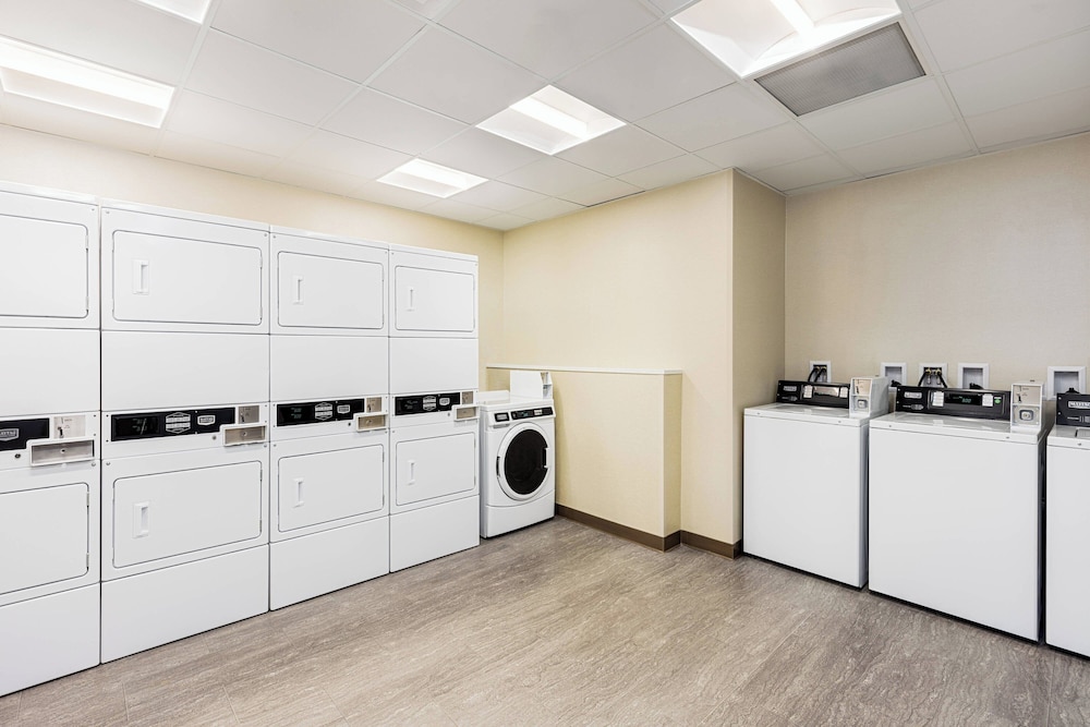 Suite, 1 Bedroom - Photo 4